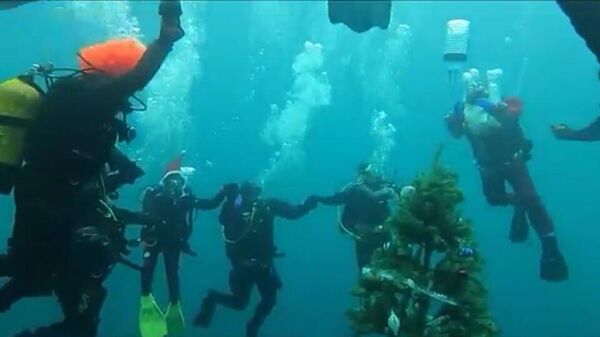 Дайверы из Орджоникидзе установили украшенную новогоднюю елку на дне Феодосийского залива. Кадр видео