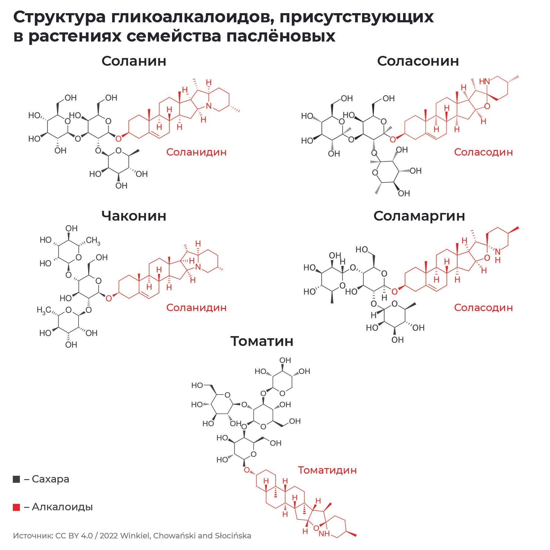 Структура гликоалкалоидов, присутствующих в растениях семейства паслёновых - РИА Новости, 1920, 30.12.2022