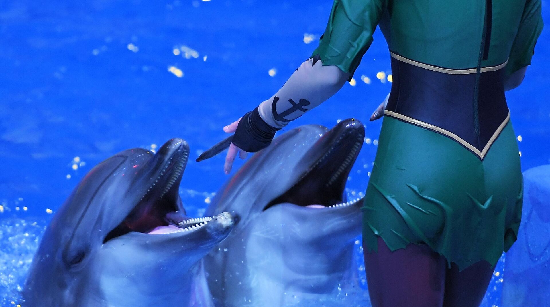 Выступление с дельфинами на премьере мюзикла на воде с морскими животными Новогодний круиз в океанариуме Москвариум - РИА Новости, 1920, 02.03.2023