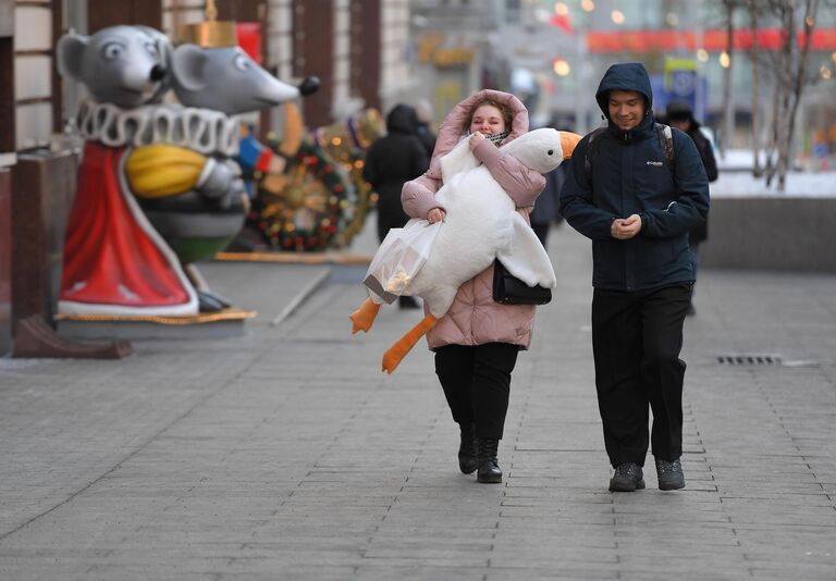 Прохожие с мягкой игрушкой  у Центрального детского мира на Лубянке в Москве