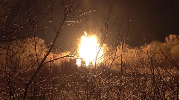 Пожар в Лутугинском районе ЛНР