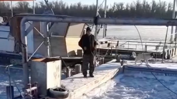 Спасение мужчины с собакой, унесенных течением Волги вместе со льдиной и примерзшим к ней понтоном частной лодочной станции
