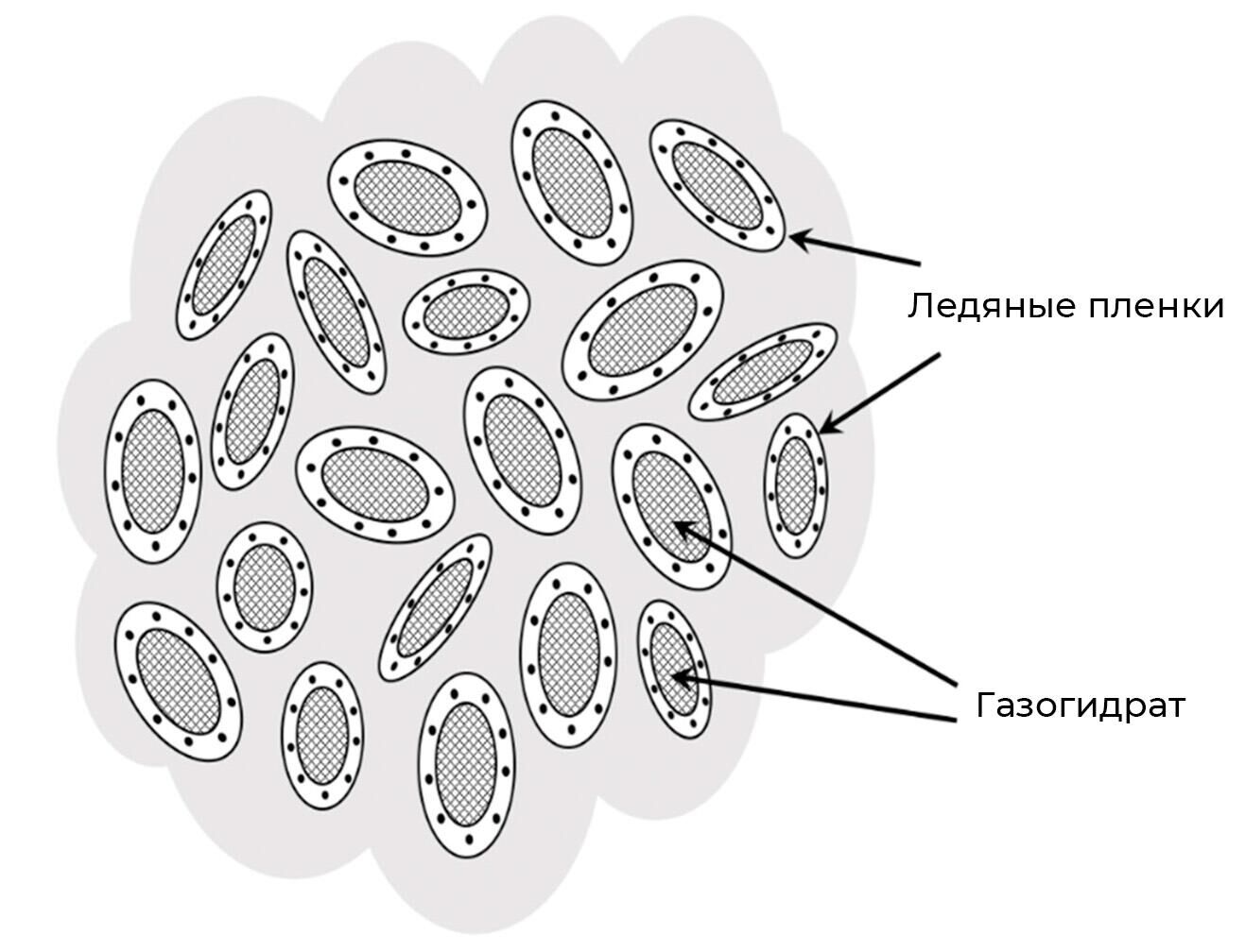 Ледяные пленки и газогидрат - РИА Новости, 1920, 13.01.2023