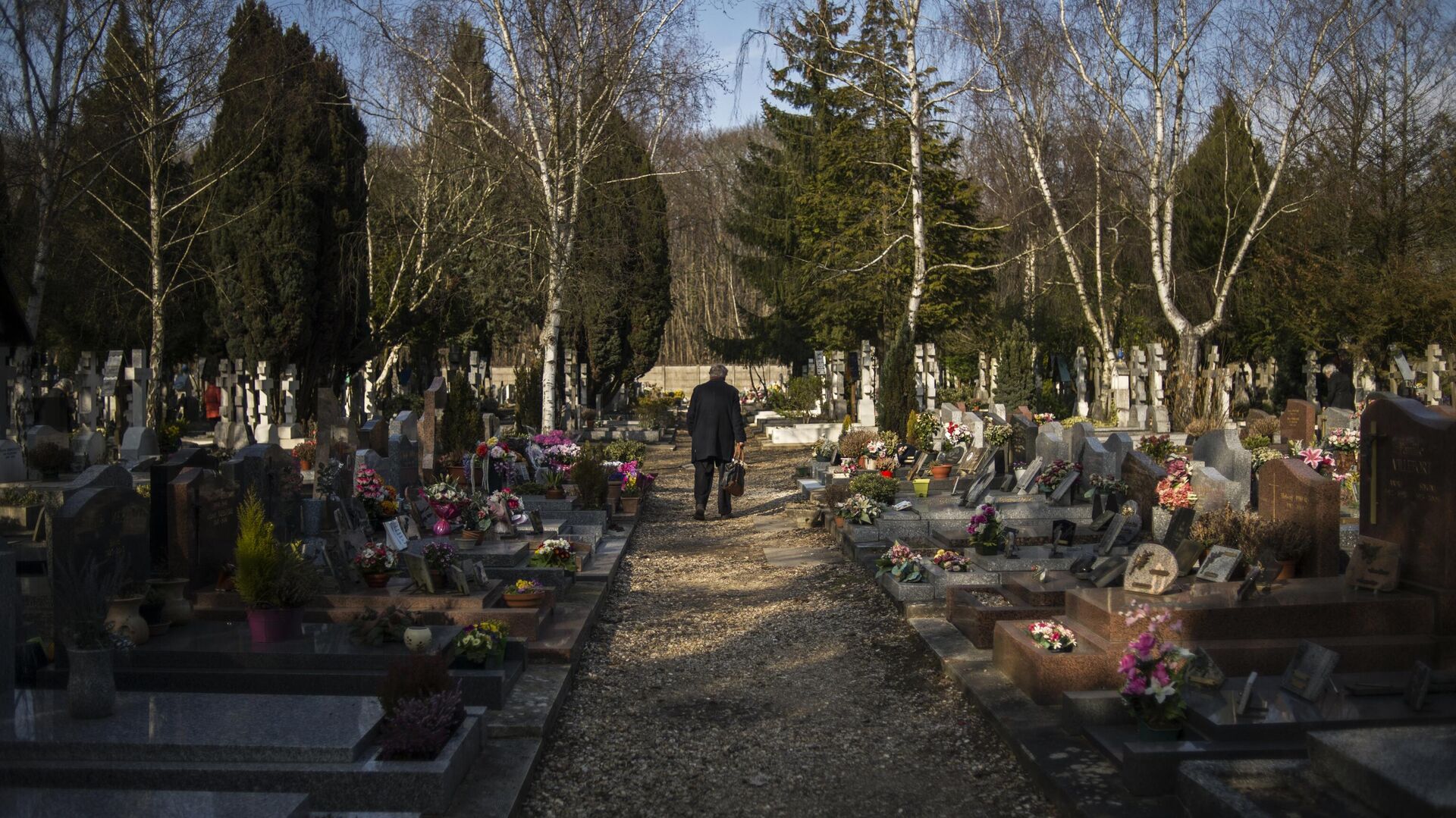 Посетитель на кладбище Сент-Женевьев-де-Буа - РИА Новости, 1920, 17.01.2023