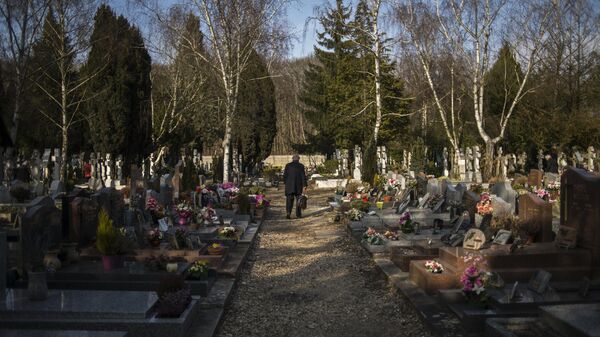 Посетитель на кладбище Сент-Женевьев-де-Буа