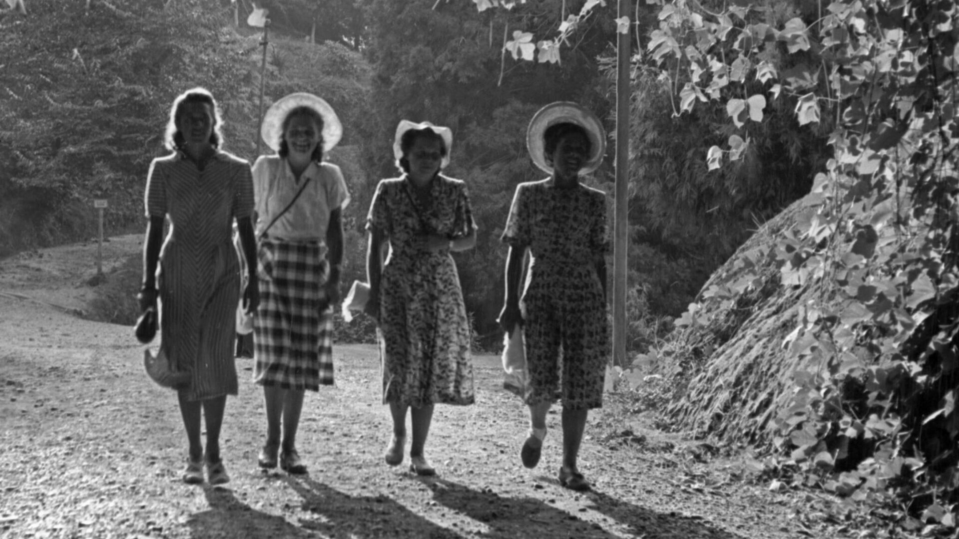 Грузинская ССР. Батумский ботанический сад, 1952 год - РИА Новости, 1920, 19.01.2023