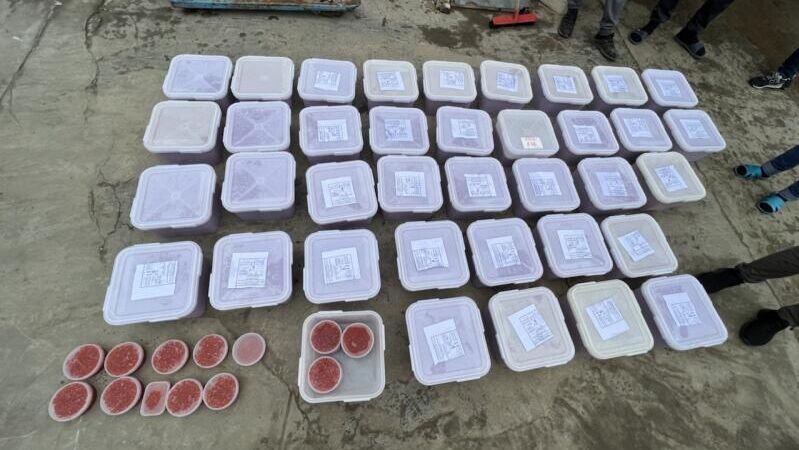 Полицейские пресекли незаконное производство немаркированной рыбной продукции на Сахалине  - РИА Новости, 1920, 17.01.2023