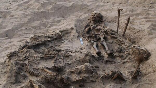 Захоронение восьмилетнего ребенка и 142 собак, обнаруженное во время раскопок в некрополе Фаюмского оазиса в Египте