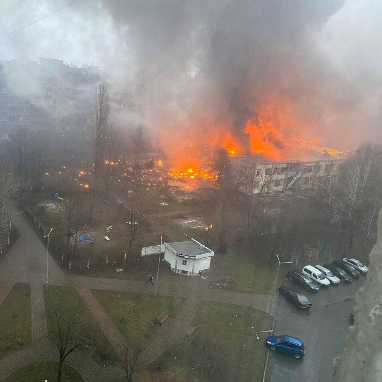 СМИ назвали причину крушения вертолета с руководством МВД Украины - РИА  Новости, 24.01.2023