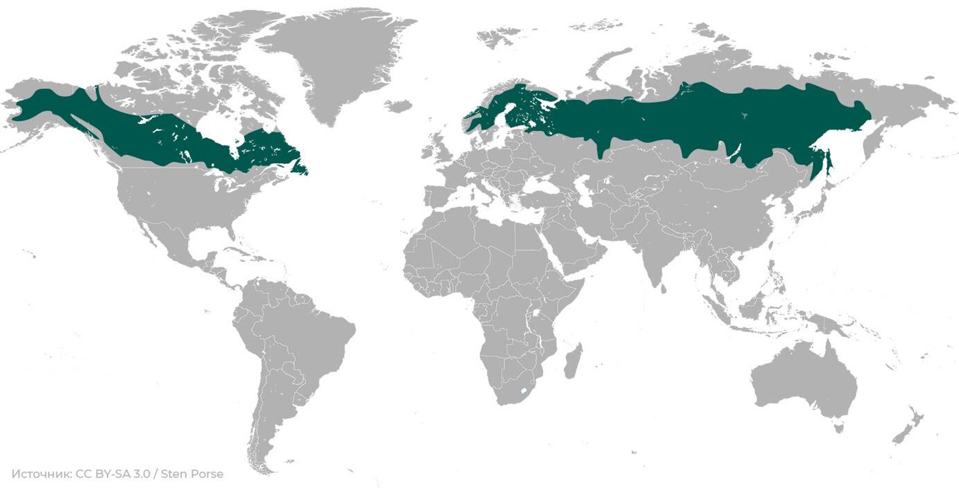 Зона бореальных лесов на карте мира - РИА Новости, 1920, 20.01.2023