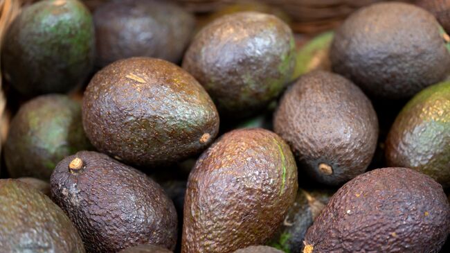 Авокадо в магазине