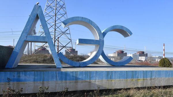В Запорожской области назвали заявление Зеленского по ЗАЭС ложью