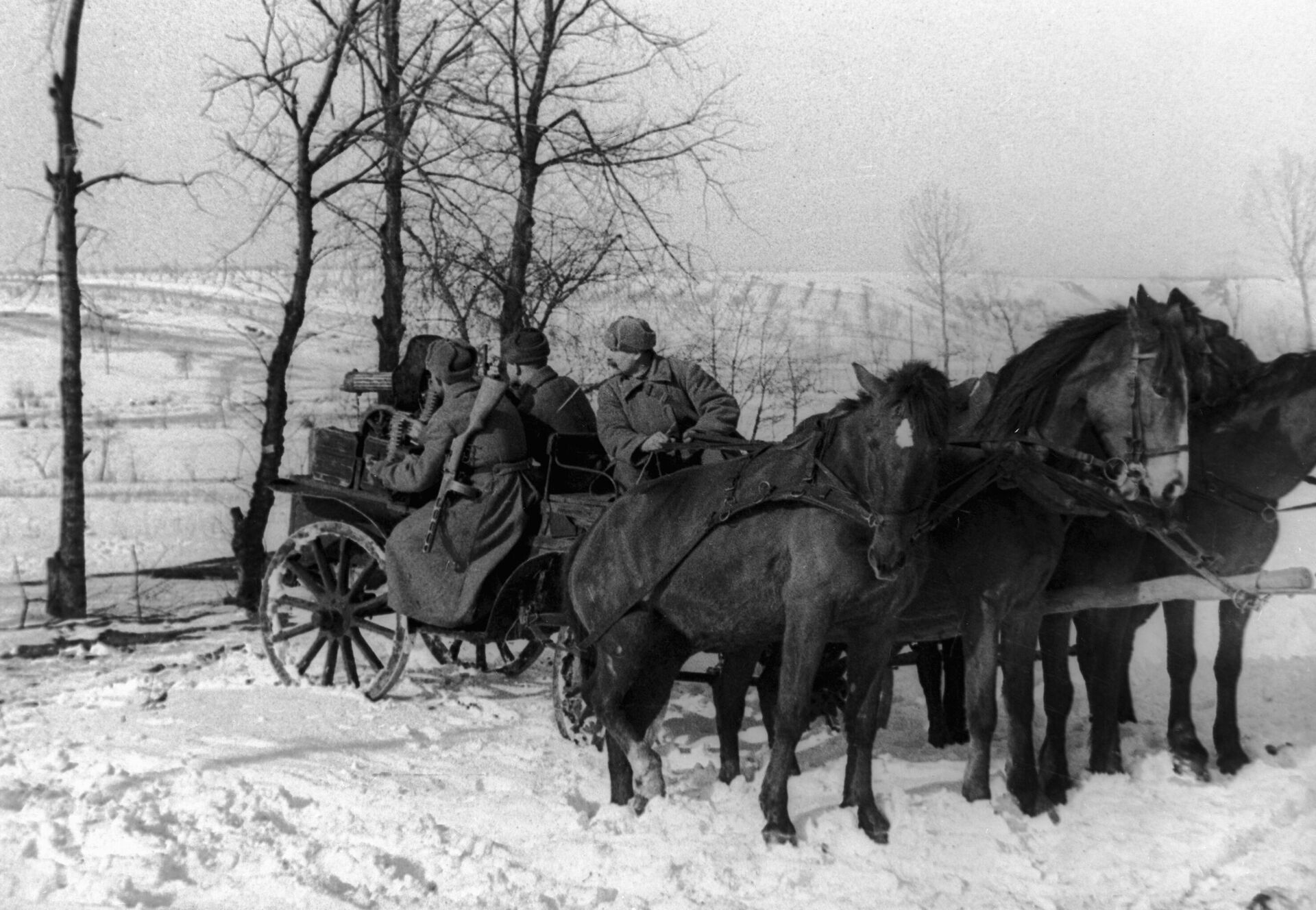 Фото Лошадей На Войне