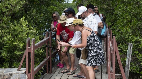 Российские туристы фотографируют змею в мангровом лесу во время прогулки по национальному парку Лагуна де Ла Рестинга на острове Маргарита