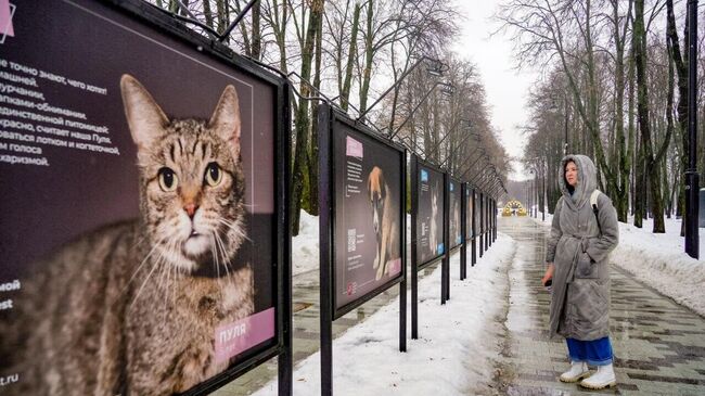 Фотовыставка в парке Северного речного вокзала в Москве