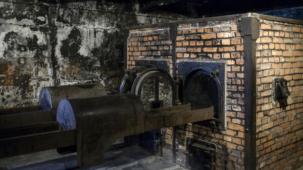 Печи в крематории на территории бывшего концентрационного лагеря Аушвиц-Биркенау в Освенциме
