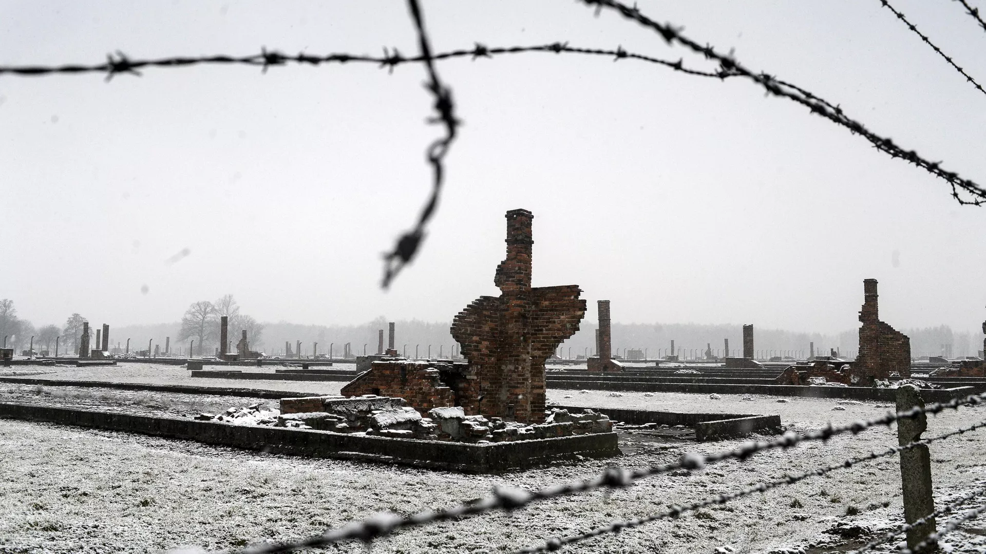Руины бараков на территории бывшего концентрационного лагеря Аушвиц-Биркенау в Освенциме - РИА Новости, 1920, 27.01.2023