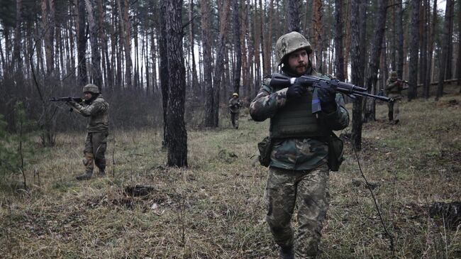 Украинские военнослужащие. Архивное фото