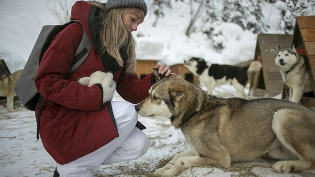 Шерегеш Шерегеш