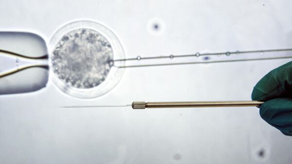 В Лаборатории экспериментальной эмбриологии. Архивное фото