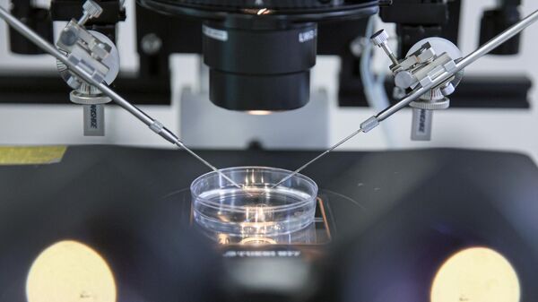В Лаборатории экспериментальной эмбриологии 