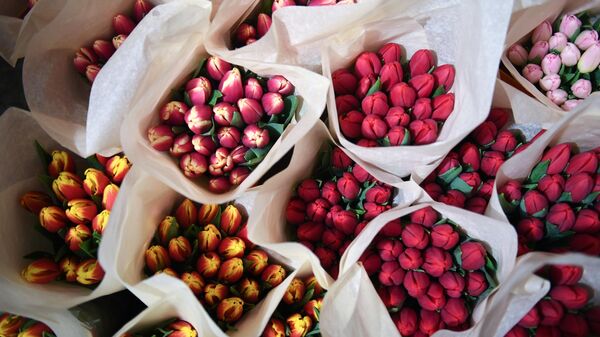 Собранные тюльпаны в преддверии праздника 8 Марта