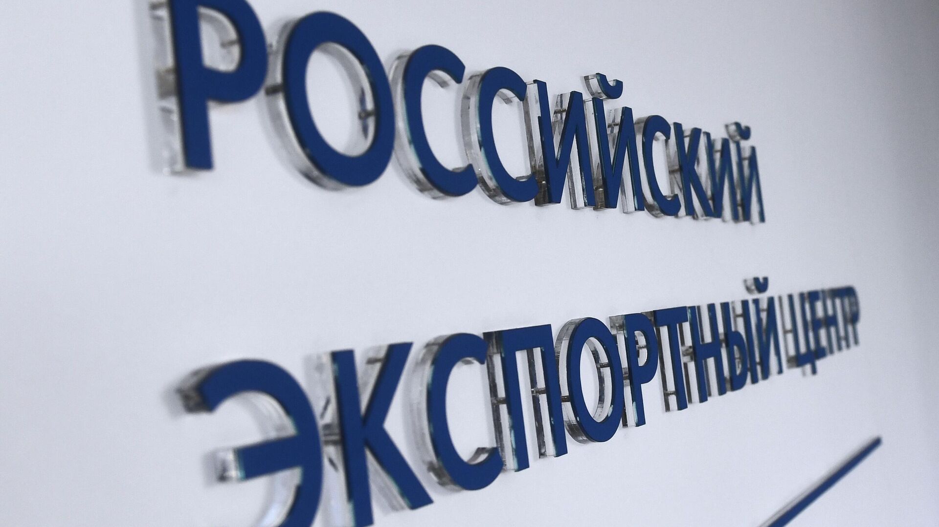 Russian Export Center supported 311 companies in the Leningrad Region in 2022