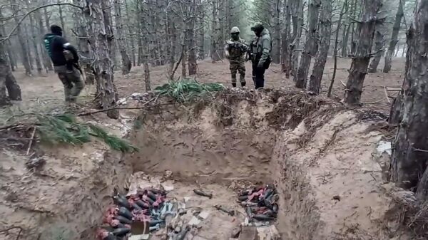 Минометные боеприпасы, снаряды, порох и взрыватели: крупный схрон найден под Херсоном