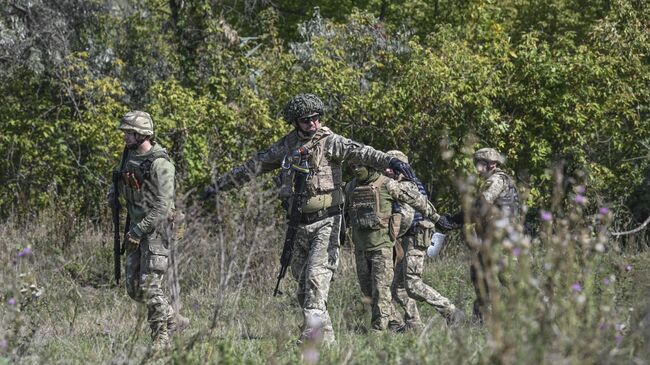 Тренировка ЧВК Моцарт