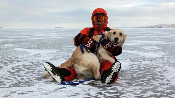Турист с собакой породы ретривер на льду замерзшего озера Байкал
