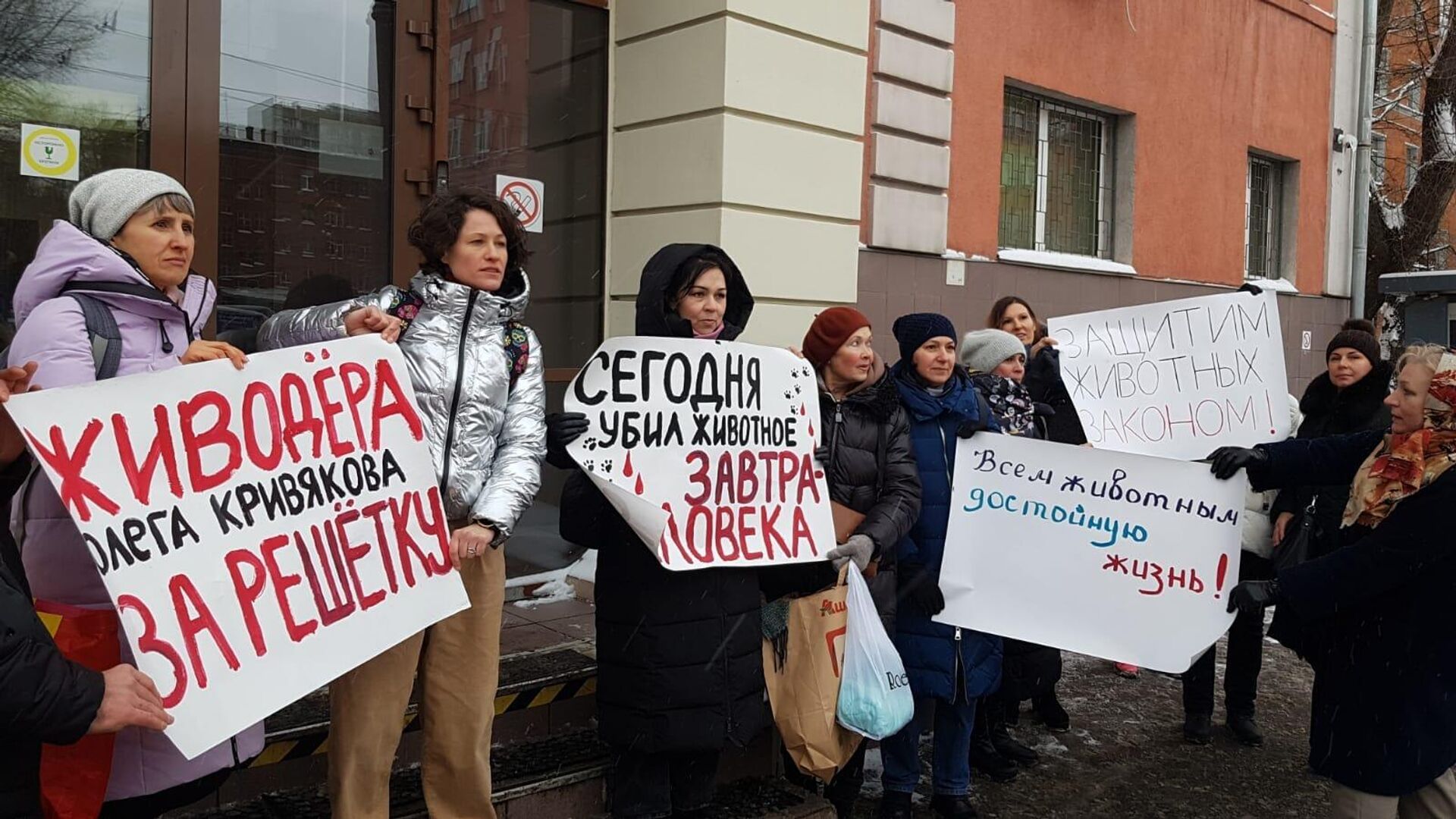 Зоозащитники возле здания суда - РИА Новости, 1920, 08.02.2023