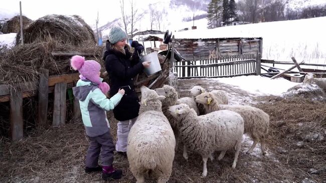 Простую жизнь найти. Немецкая семья переехала в Алтайский край