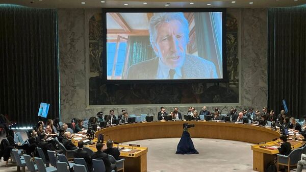 Британский музыкант Роджер Уотерс выступает на заседании Совета Безопасности ООН по Украине