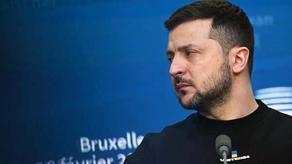В Киеве заговорили о досрочных выборах из-за поведения Зеленского