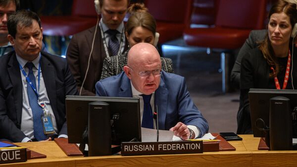 Постоянный представитель Российской Федерации при ООН Василий Небензя  