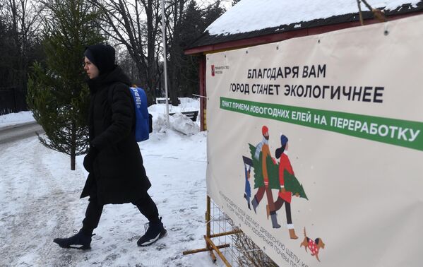 Мужчина несет елку в пункт приема Елочный круговорот в парке Кузьминки-Люблино в Москве