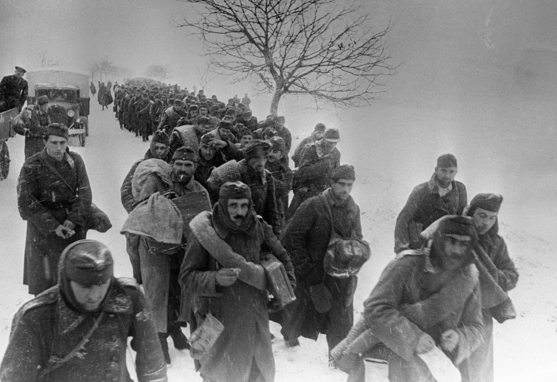 Взятые советскими войсками пленные направляются в тыл. 2-й Украинский фронт. Январь 1943 Взятые советскими войсками пленные направляются в тыл. 2-й Украинский фронт. Январь 1943 - РИА Новости, 1920, 17.04.2025