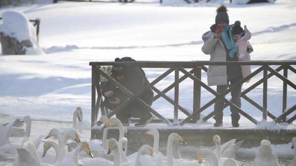 Туристы фотографируют лебедей, зимующих на Лебедином озере в Алтайском крае