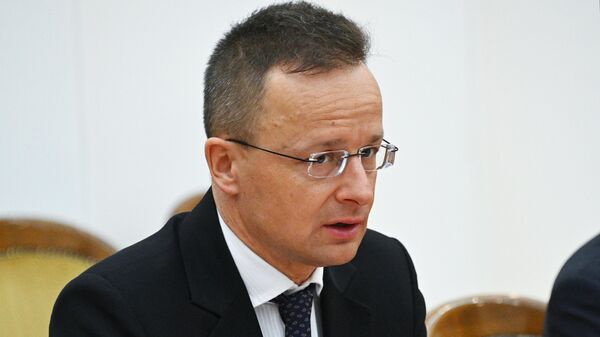 Министр иностранных дел и внешнеэкономических связей Венгрии Петер Сийярто