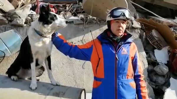Собака, которая вместе с башкирскими спасателями нашла пятерых пострадавших