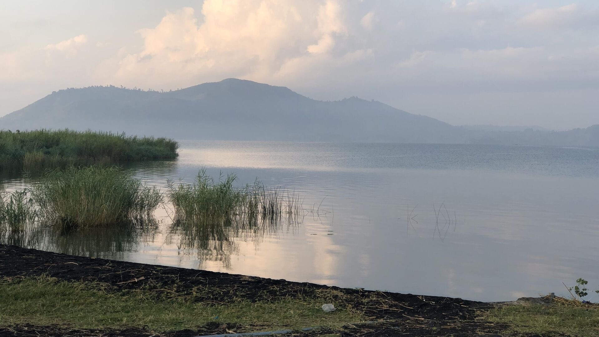 Конго - РИА Новости, 1920, 25.01.2025