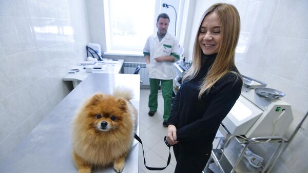 Девушка с собакой в ветеринарной клинике