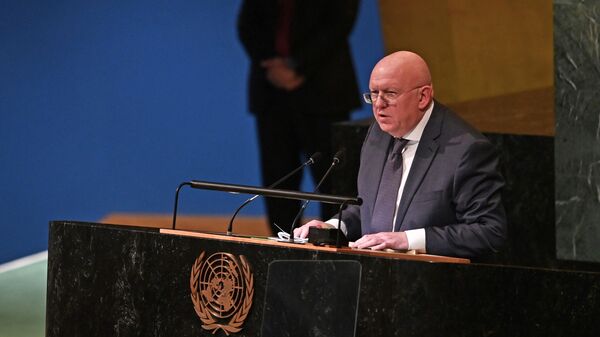 Постоянный представитель России при ООН Василий Небензя