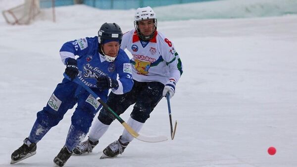 Хоккеист Динамо (в синем) и Родины (в белом)