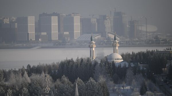 Вид на зимнюю Казань