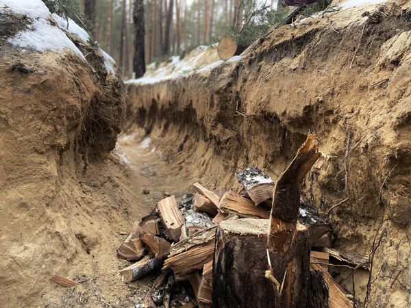 Окопы под Кременной Окопы под Кременной