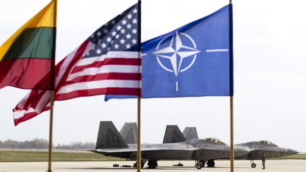 Военный эксперт: страны НАТО сплотились вокруг хозяина – США