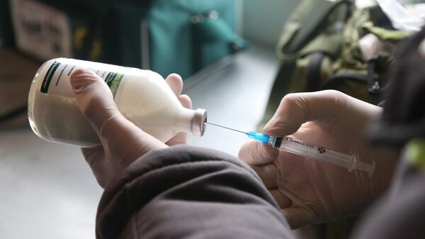 Работник ветеринарной службы готовит вакцину от птичьего гриппа для прививок птиц