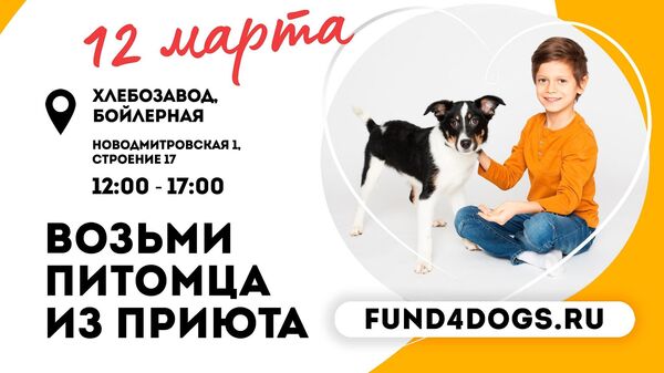 Афиша благотворительного фестиваля Собаки, которые любят