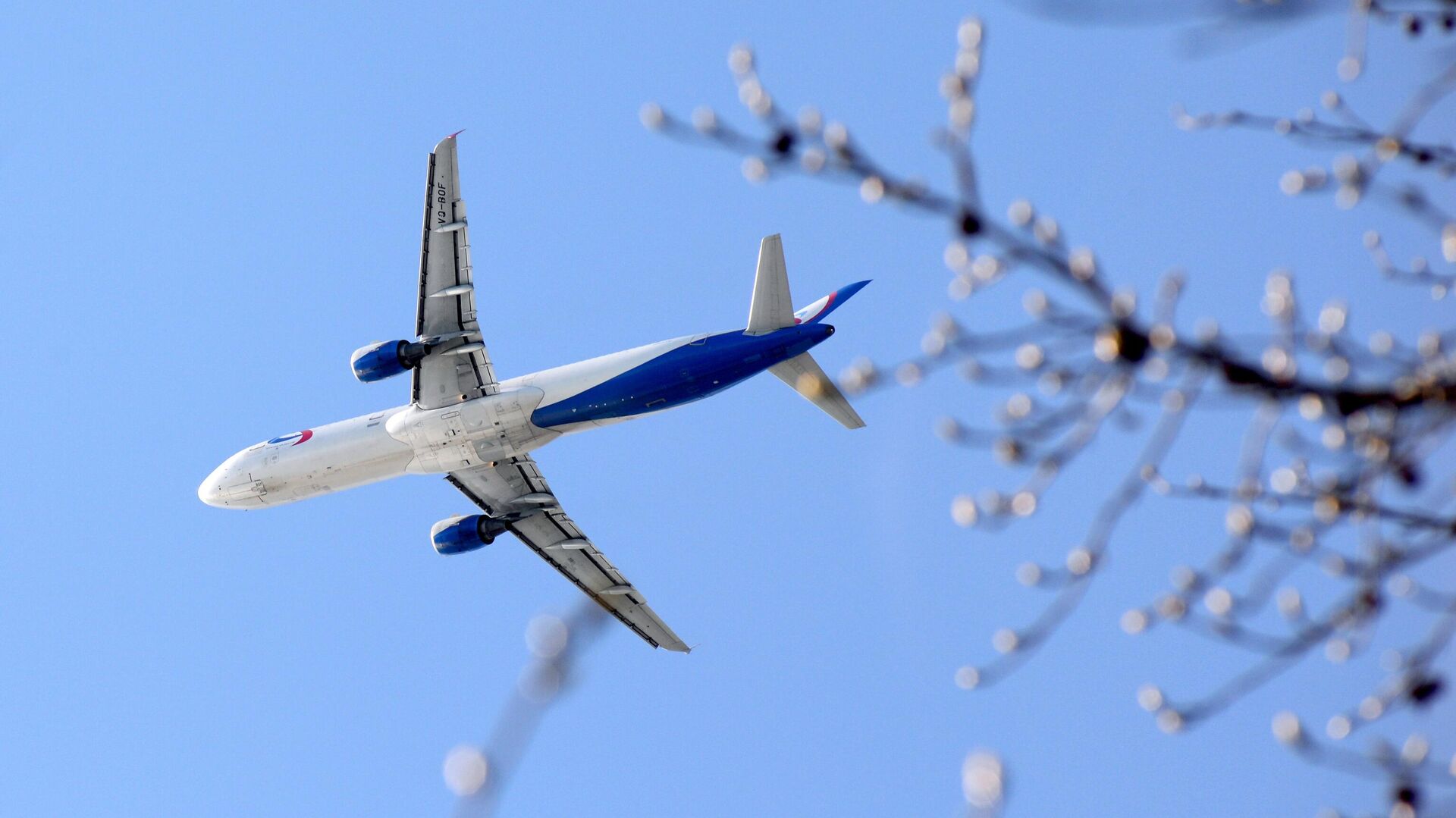 Самолёт Airbus A321 авиакомпании Уральские авиалинии летит в небе над городом Сочи - РИА Новости, 1920, 03.05.2023